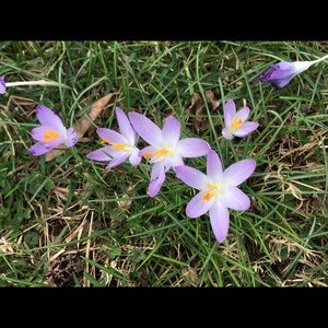 Meet your Posher, Nancy